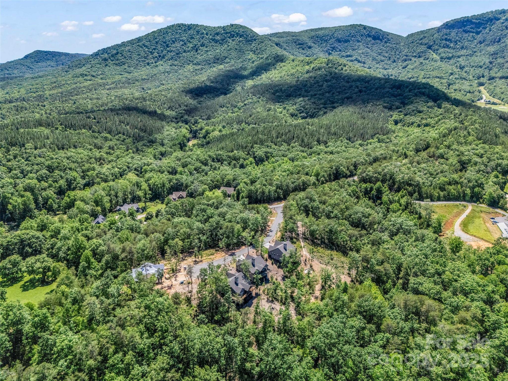 87 Jackson Ridge Ln Mill Spring Mill Spring, NC 28756 - Photo 39 of 42 an aerial view of a house with a lush green forest
