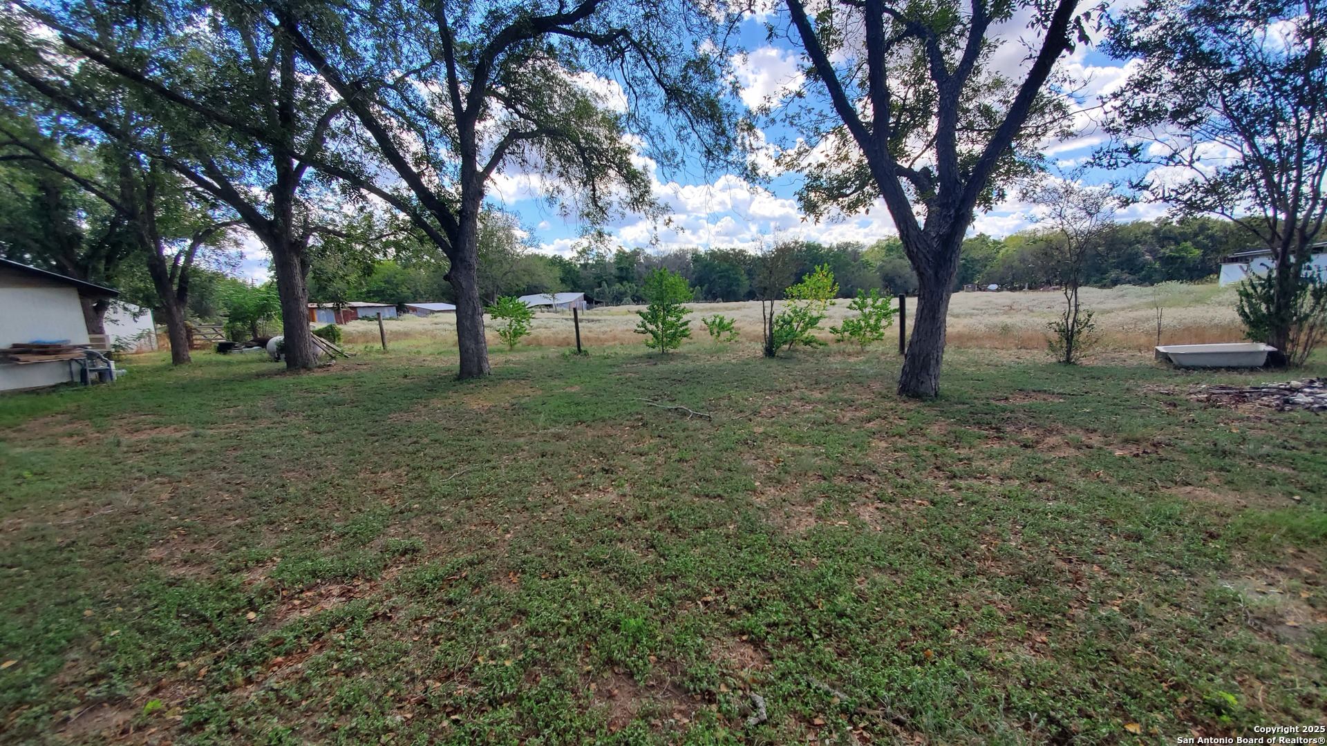 15285 South Skaggs Road Atascosa, TX 78002 - Photo 34 of 36 a view of a yard with tree s