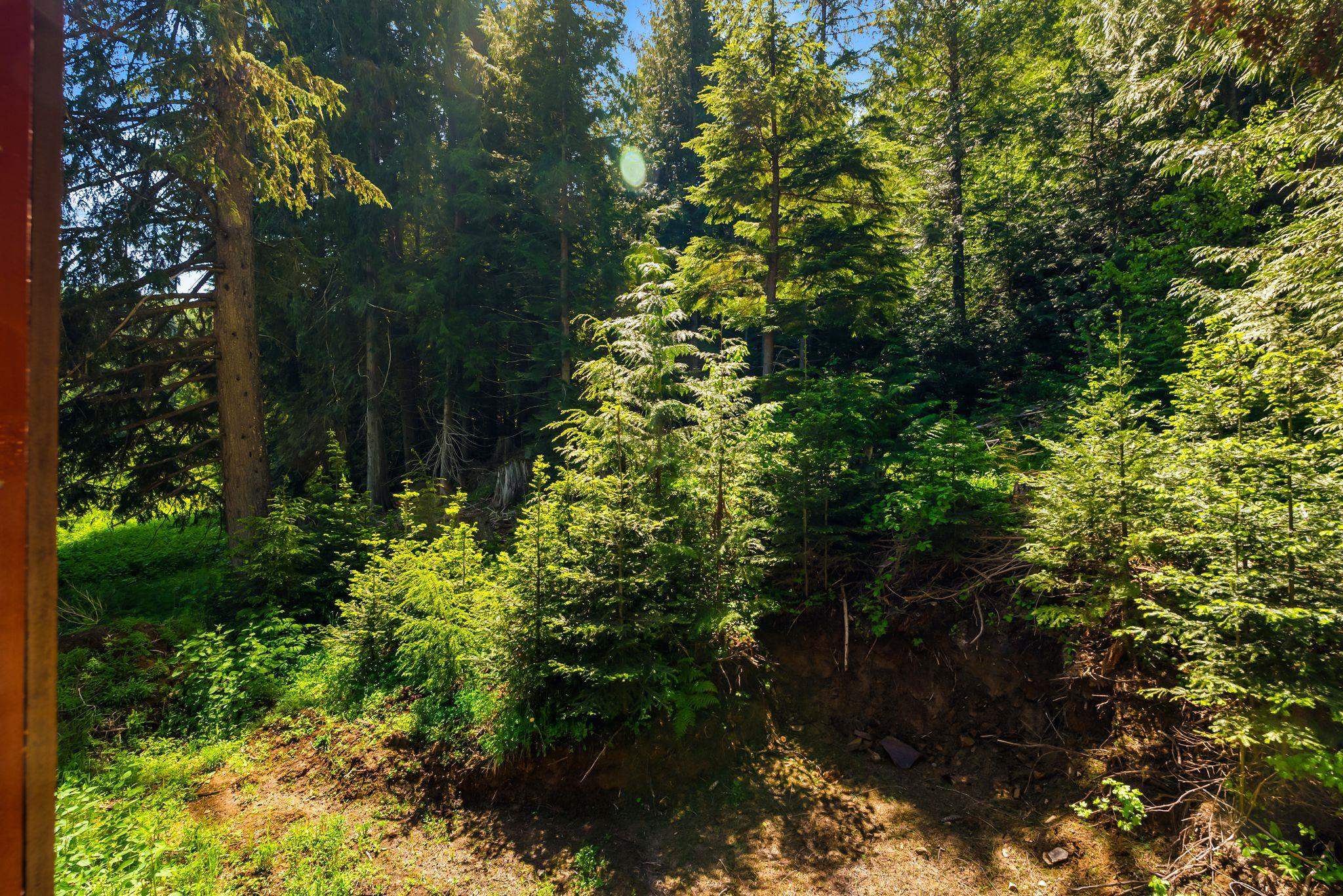 2502 Greenhood Road Newport, WA 99156 - Photo 49 of 49