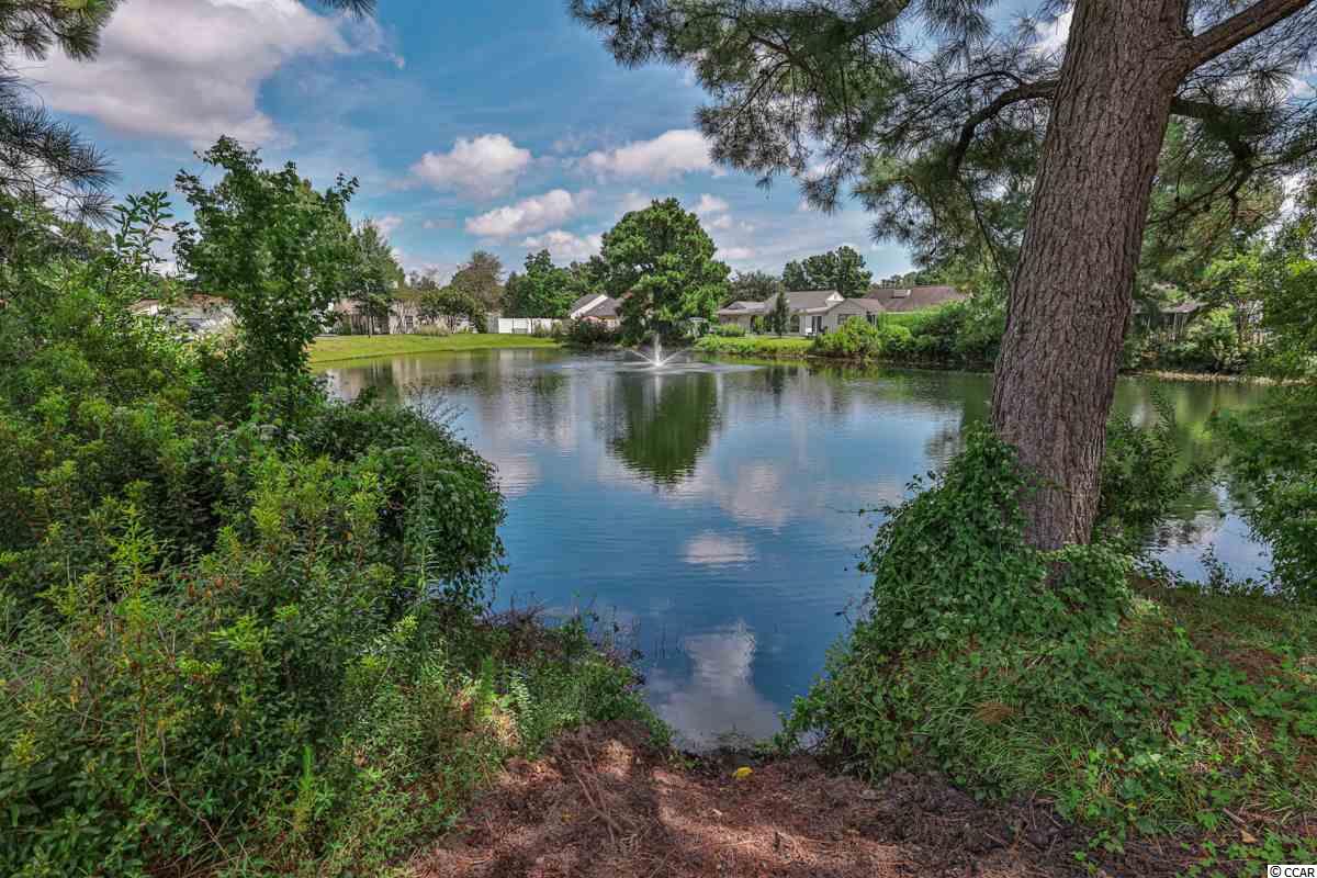 9712 Ashley Lane Murrells Inlet, SC 29576 - Photo 26 of 32