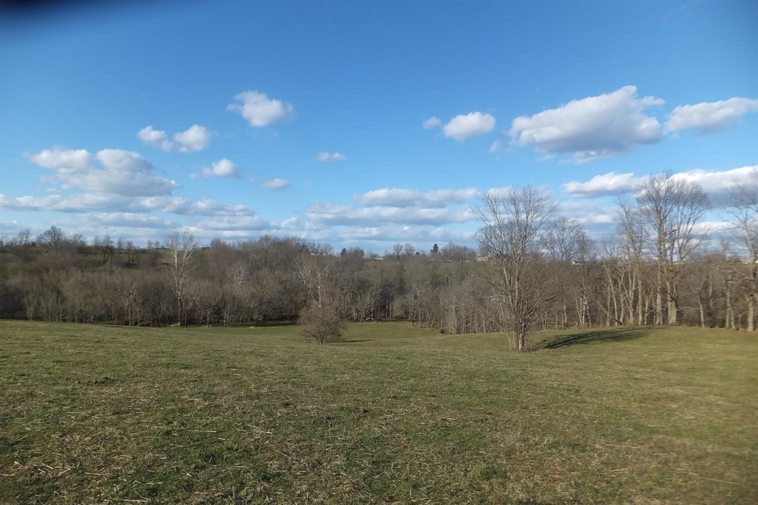 2500 Van Thompson Road Mount Sterling, KY 40353 - Photo 2 of 8 Photo 2