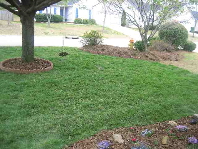 420 Riverside Chase Circle, Unit RIVERSIDE Greer, SC 29650 - Photo 24 of 25
