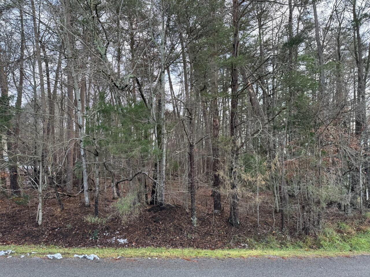 Lot 5 Highland Lake Rd Union Union Hall, VA 24176 - Photo 3 of 9 a view of a yard with large trees