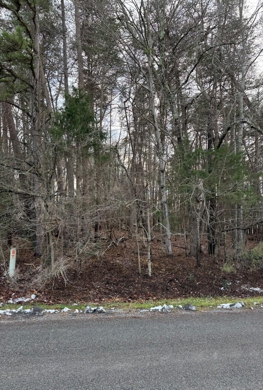 Lot 5 Highland Lake Rd Union Union Hall, VA 24176 - Photo 4 of 9 a street view