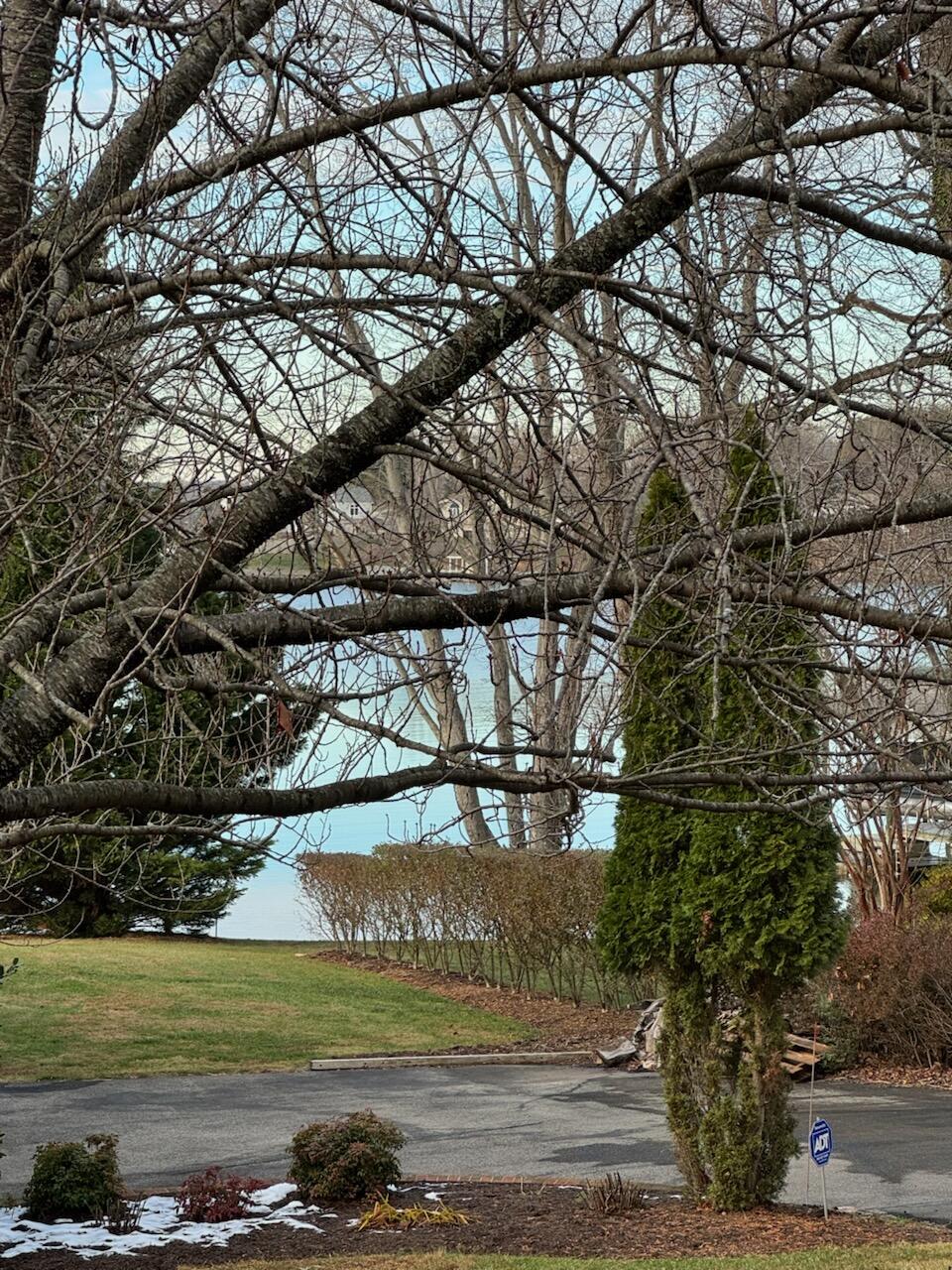 Lot 5 Highland Lake Rd Union Union Hall, VA 24176 - Photo 8 of 9