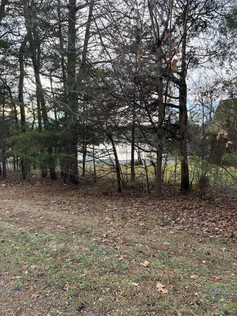 Lot 5 Highland Lake Rd Union Union Hall, VA 24176 - Photo 9 of 9 a backyard of a house with lots of green space