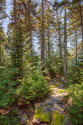 $1,450,000 | 169 Island Avenue, St. George, ME 04859