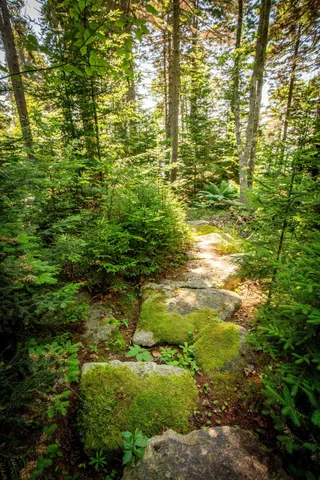 $1,450,000 | 169 Island Avenue, St. George, ME 04859