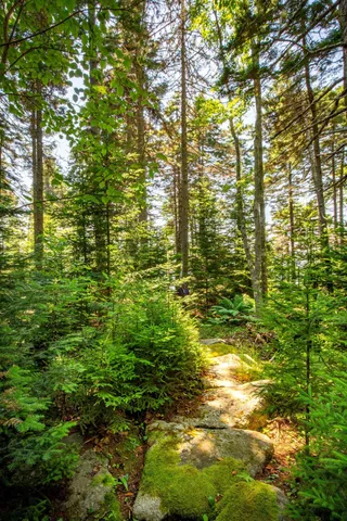 $1,450,000 | 169 Island Avenue, St. George, ME 04859