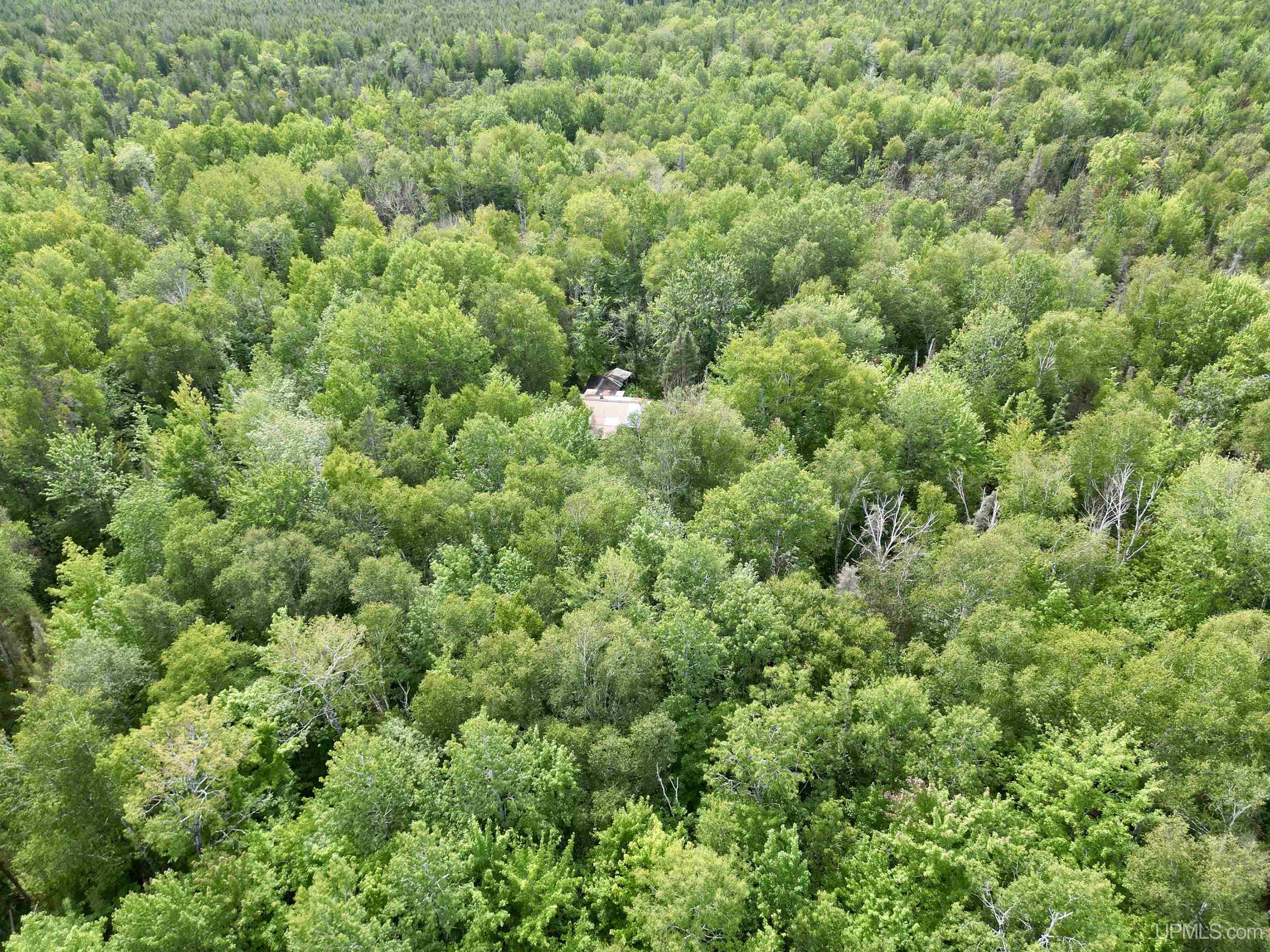 Tbd Trombley 35th Road Rock, MI 49880 - Photo 14 of 28