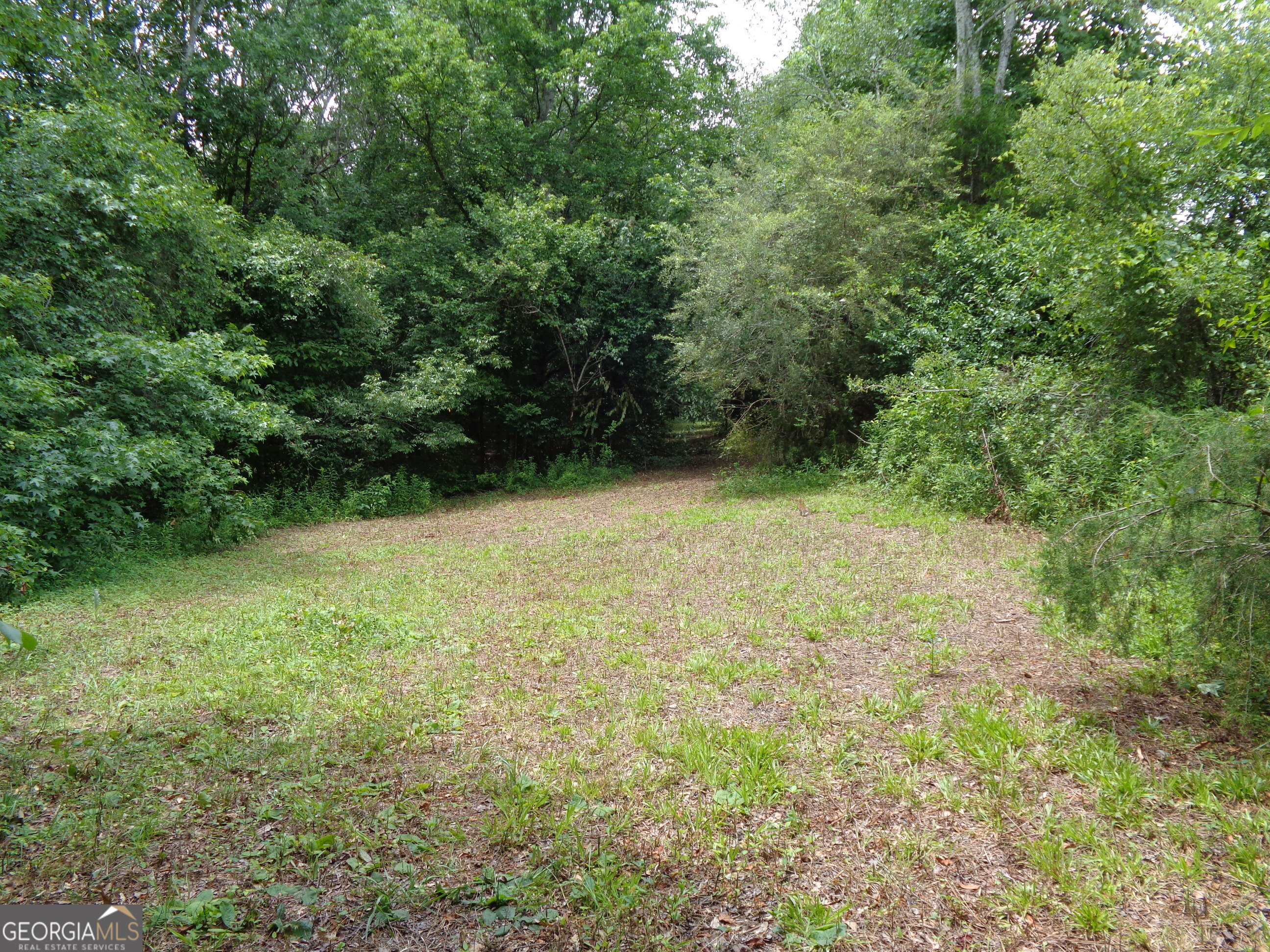 2411 Kesler Road Carnesville, GA 30521 - Photo 49 of 61