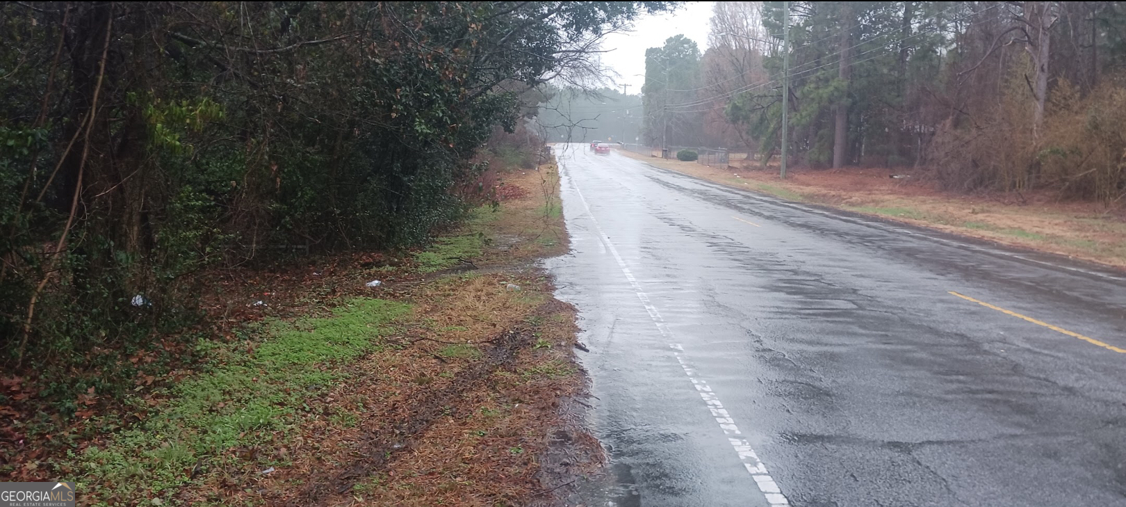 a view of a yard with trees
