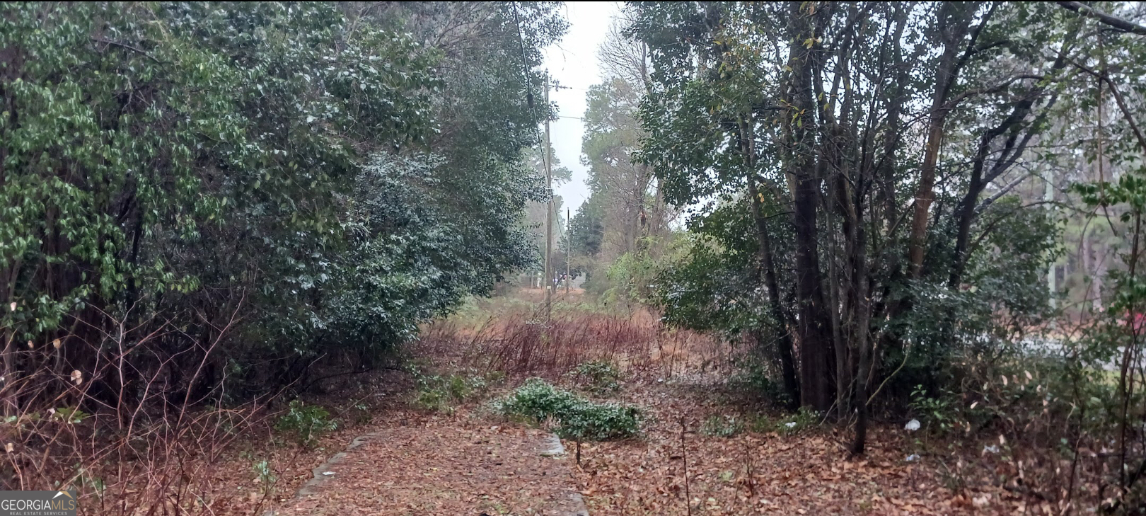 730 Shaw Road Fayetteville, NC 28303 - Photo 3 of 6 a view of forest