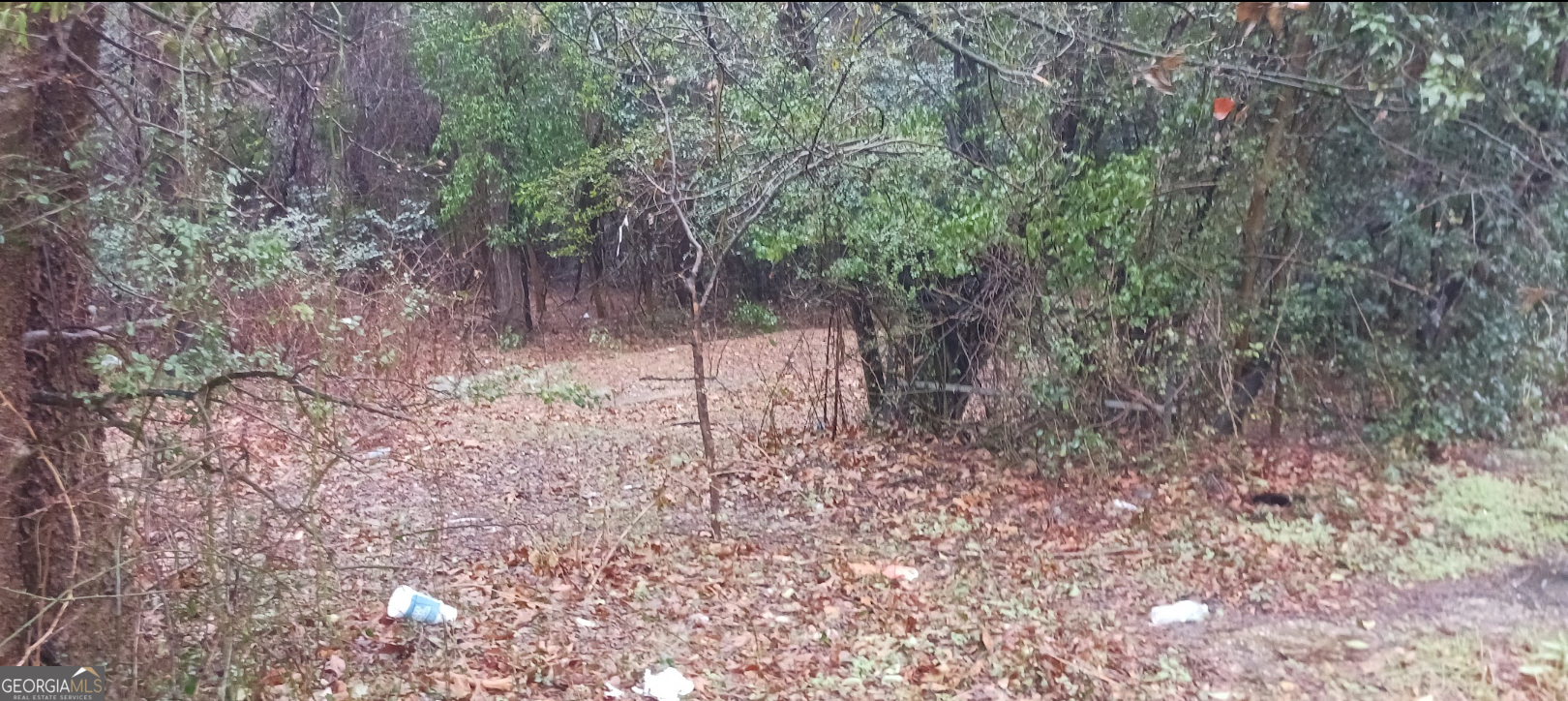 730 Shaw Road Fayetteville, NC 28303 - Photo 4 of 6 a view of a forest with trees in the background