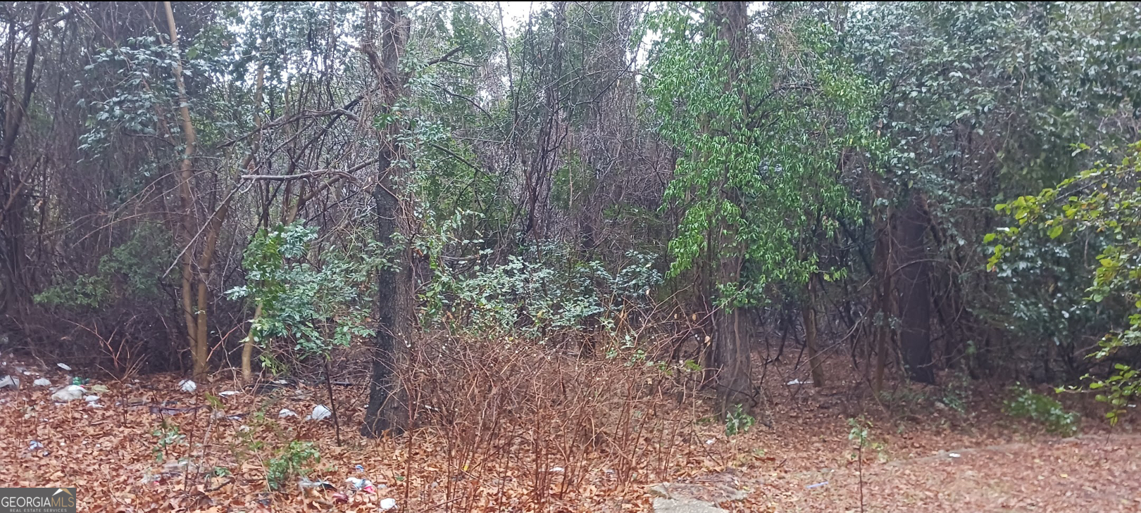 730 Shaw Road Fayetteville, NC 28303 - Photo 5 of 6 a view of forest