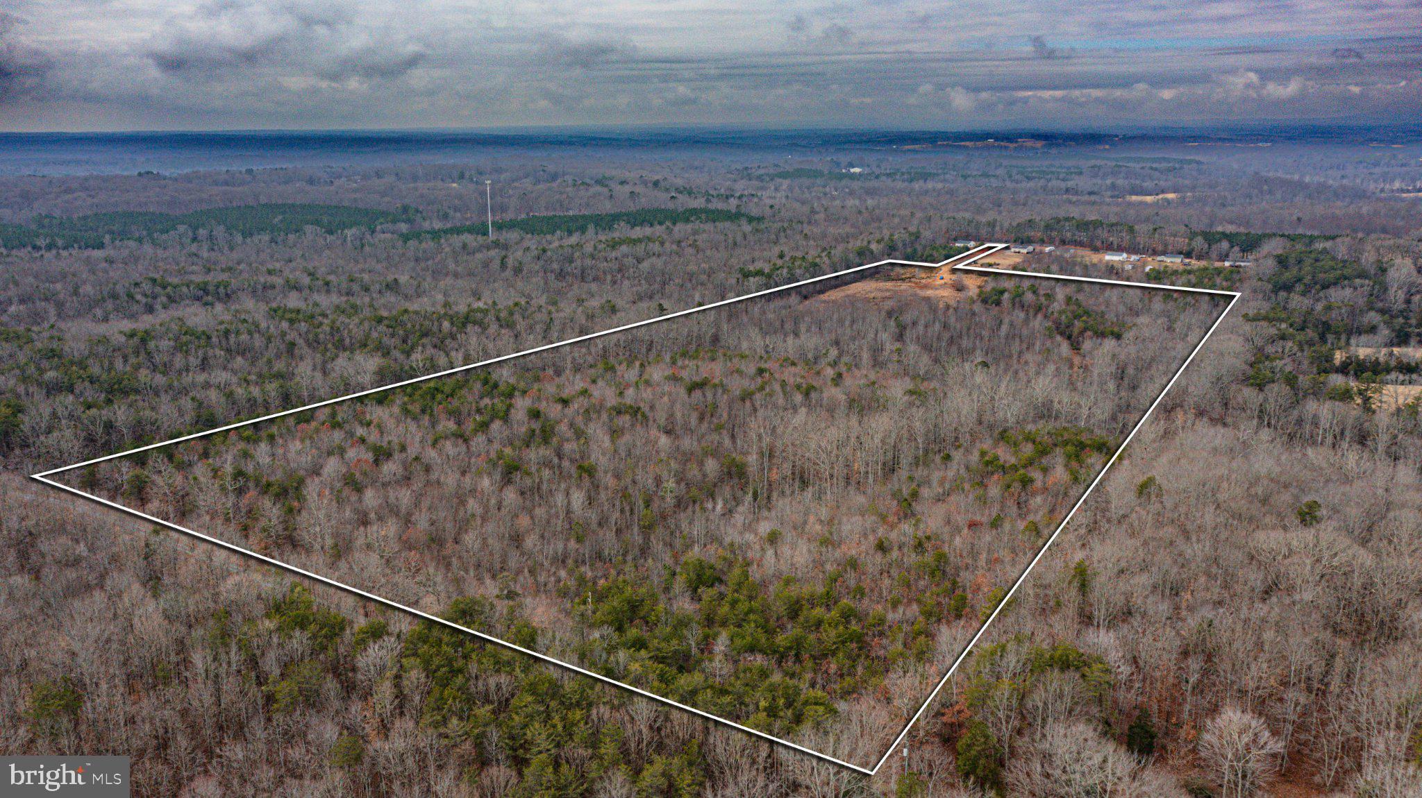 Expansive wooded land awaits you.