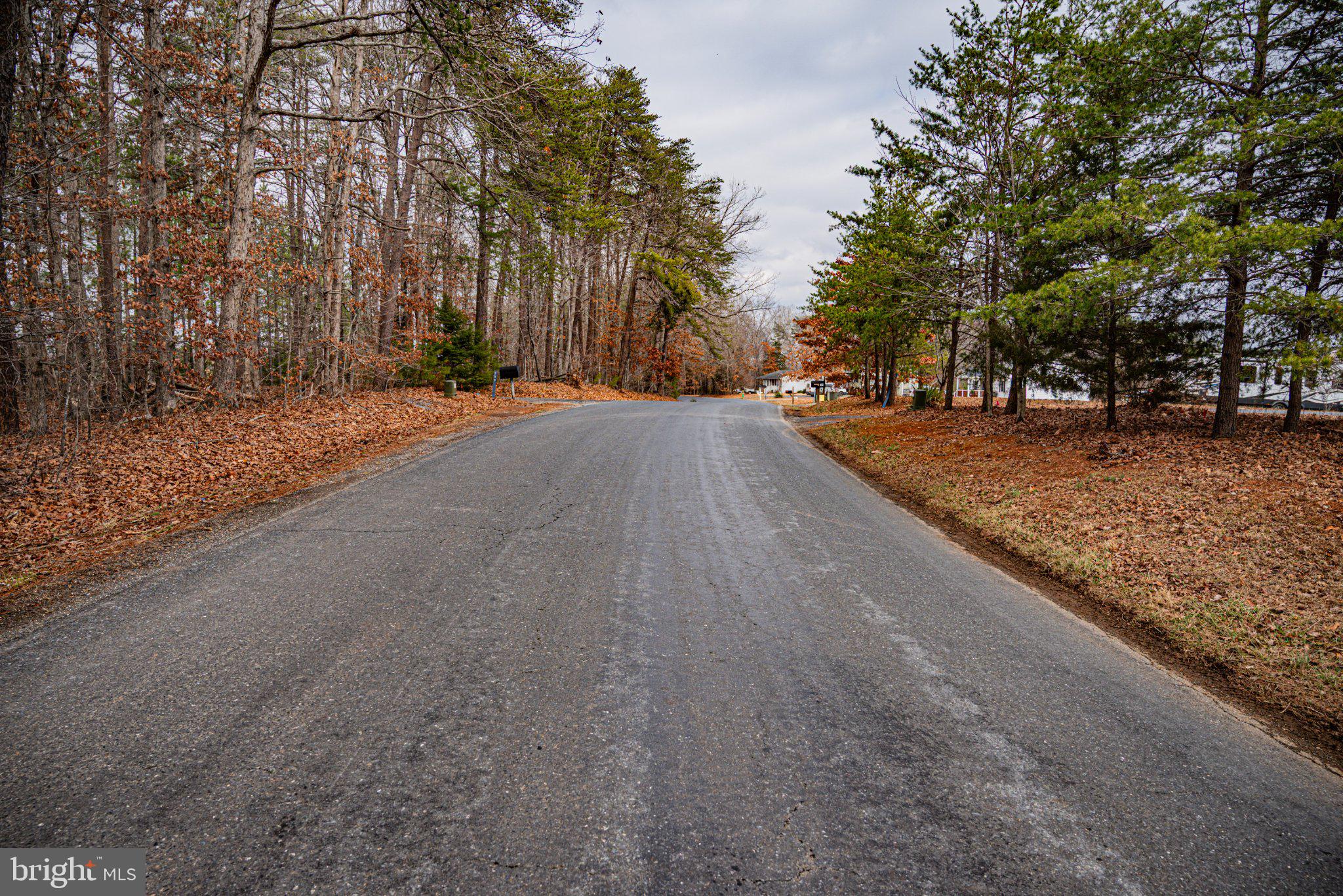 Tbd Troublesome Creek Road Buckingham, VA 23921 - Photo 20 of 26 Serene road through autumn woods.