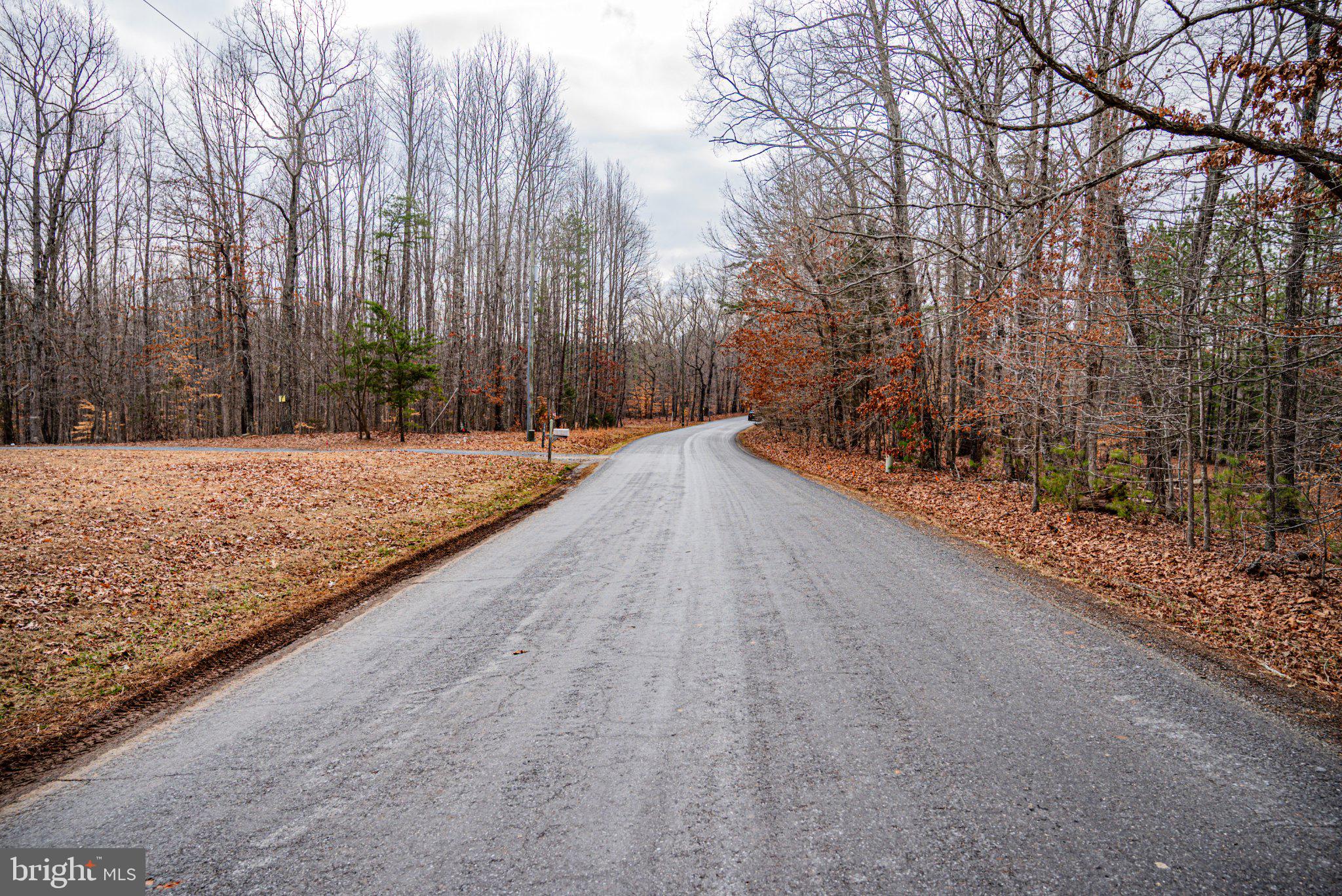 Tbd Troublesome Creek Road Buckingham, VA 23921 - Photo 21 of 26 Winding road through tranquil woods.