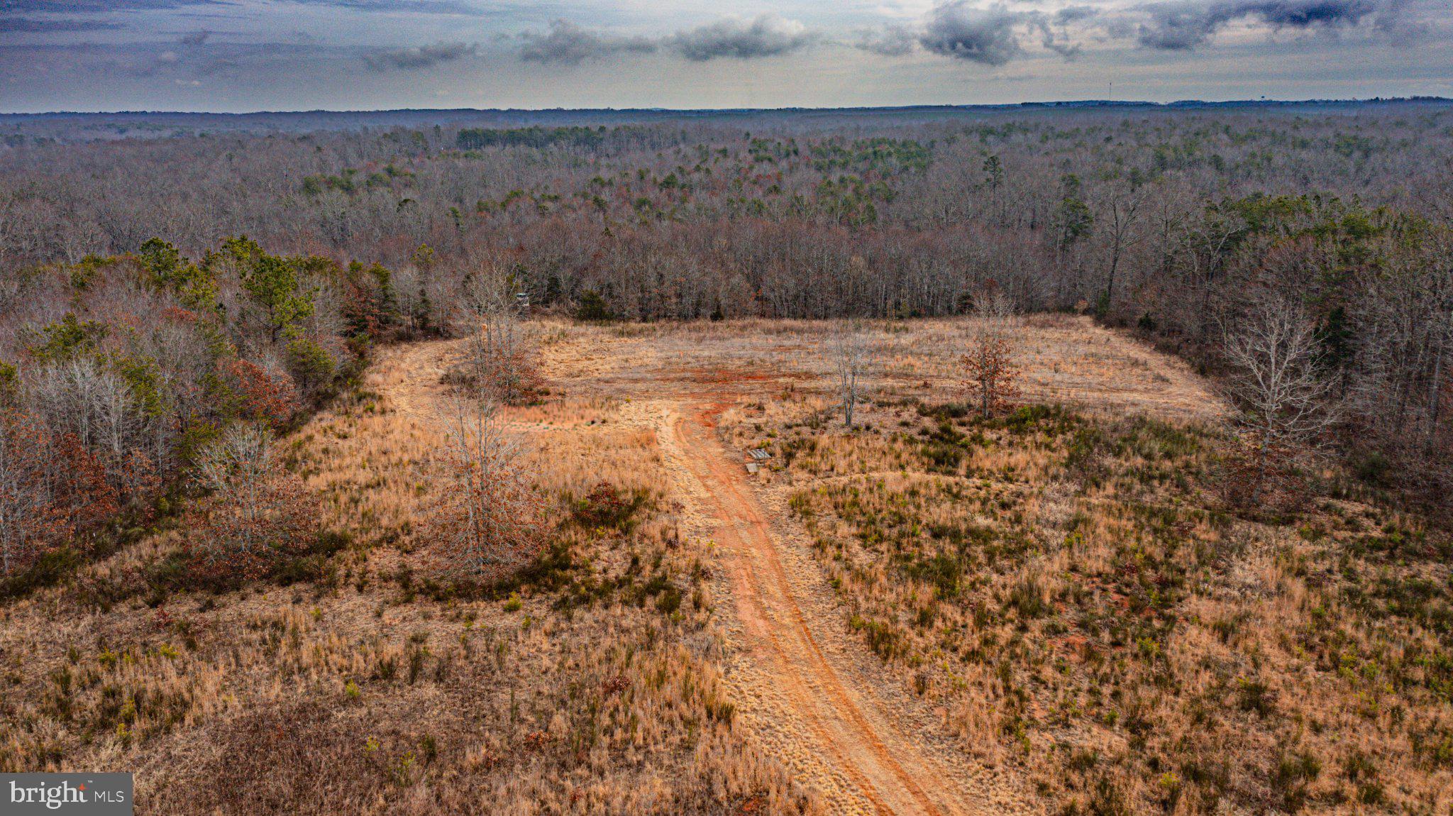 Tbd Troublesome Creek Road Buckingham, VA 23921 - Photo 3 of 26 Serene landscape awaits your vision.