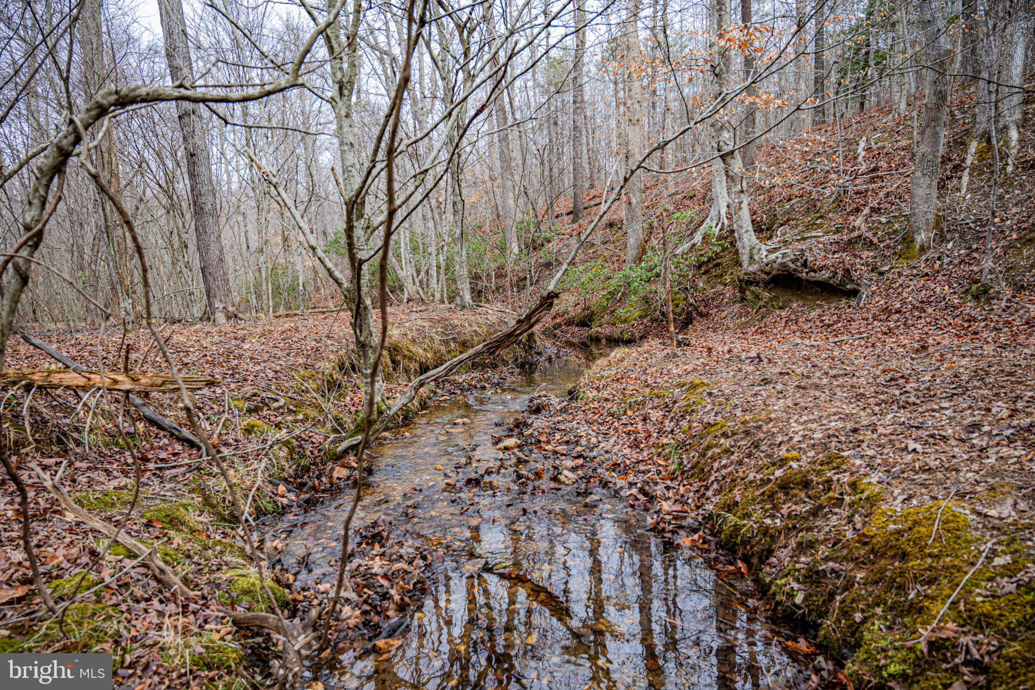Tbd Troublesome Creek Road Buckingham, VA 23921 - Photo 5 of 26 Tranquil stream in a wooded retreat.