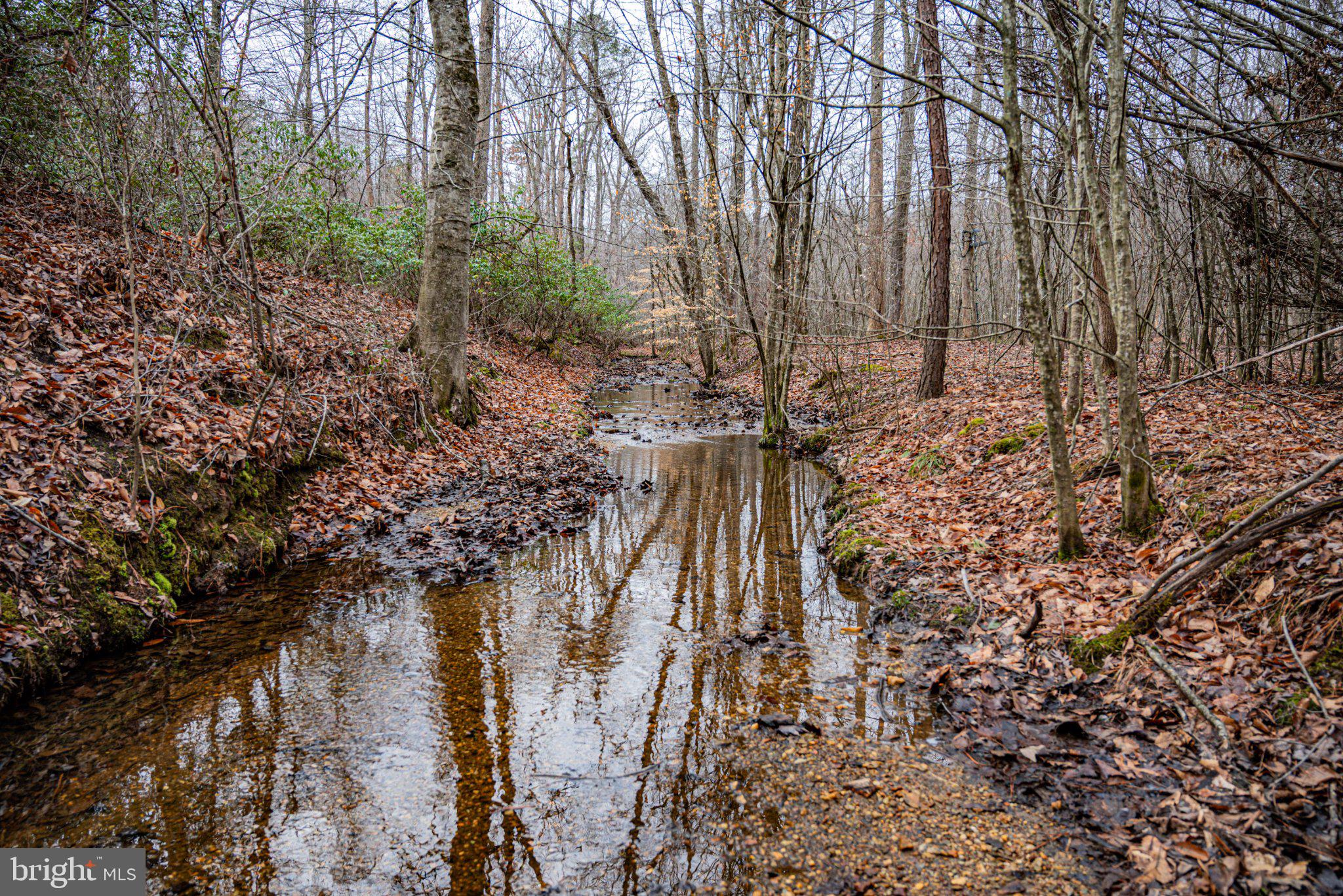 Tbd Troublesome Creek Road Buckingham, VA 23921 - Photo 6 of 26 Tranquil stream in a wooded retreat.