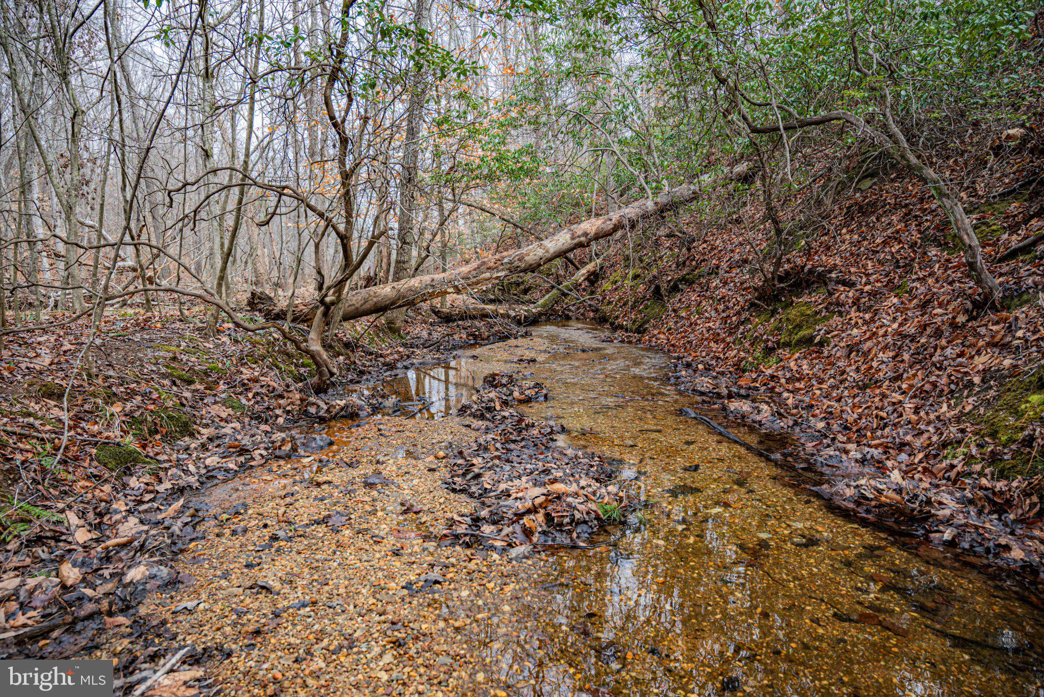 Tbd Troublesome Creek Road Buckingham, VA 23921 - Photo 7 of 26 Tranquil stream in autumn's embrace.