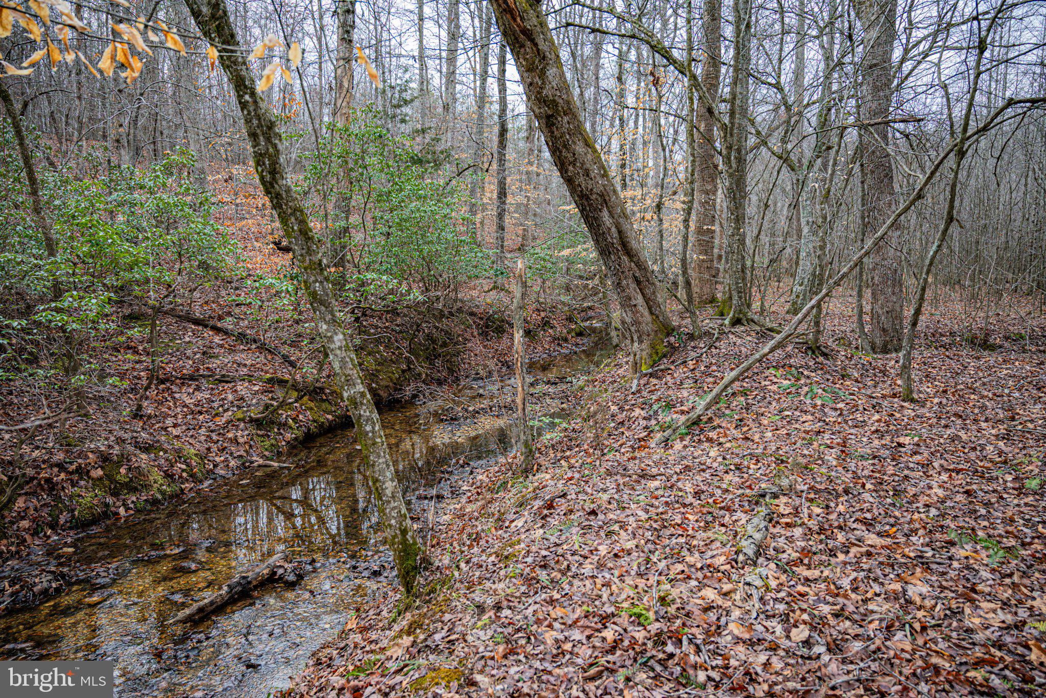 Tbd Troublesome Creek Road Buckingham, VA 23921 - Photo 8 of 26 Serene woodland stream in autumn hues.