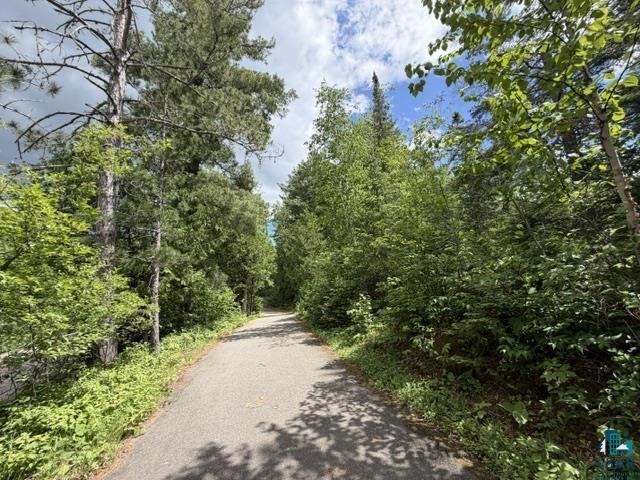Tbd Trezona Road Ely, MN 55731 - Photo 10 of 22