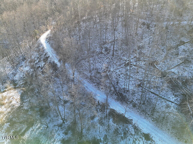 Tbd Sugar Run Road Cedar Bluff, VA 24609 - Photo 4 of 11 IMG_1415