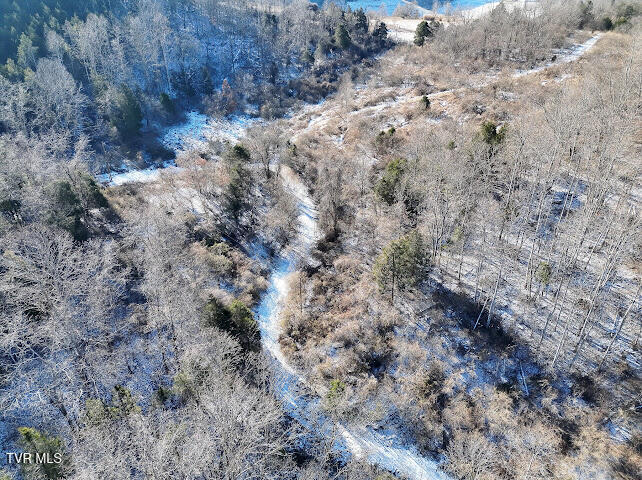 Tbd Sugar Run Road Cedar Bluff, VA 24609 - Photo 5 of 11 IMG_1416