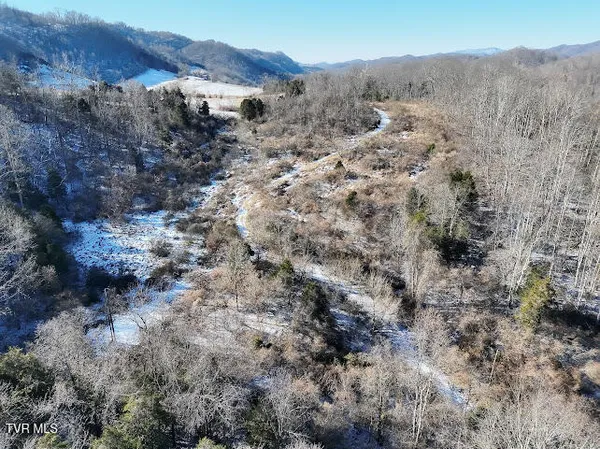 $100,000 | Tbd Sugar Run Road, Cedar Bluff, VA 24609