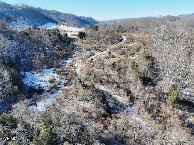 $100,000 | Tbd Sugar Run Road, Cedar Bluff, VA 24609