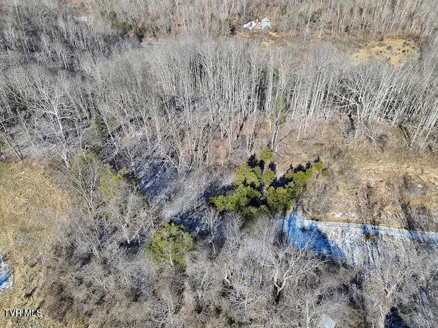 $100,000 | Tbd Sugar Run Road, Cedar Bluff, VA 24609