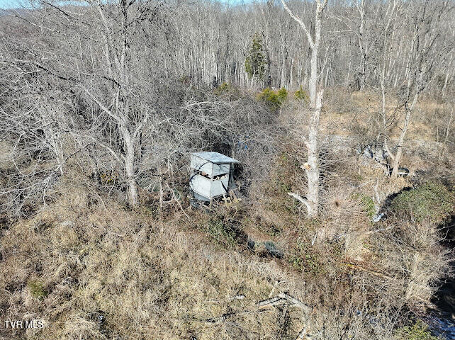 Tbd Sugar Run Road Cedar Bluff, VA 24609 - Photo 10 of 11 IMG_1419