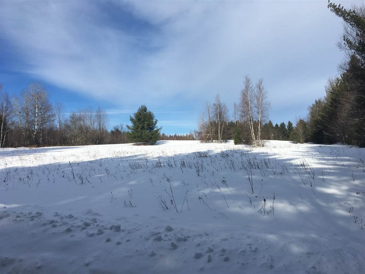 Lot 2 Gendron Road Jay, VT 05859 - Photo 4 of 5 Gallery Image 4