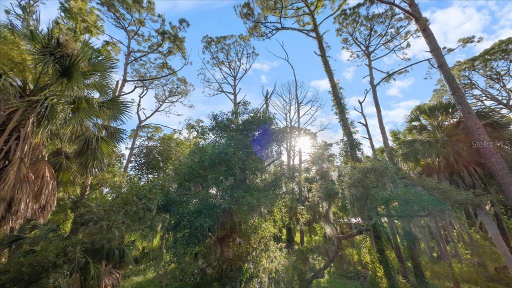 Bayshore Road Nokomis, FL 34275 - Photo 22 of 42