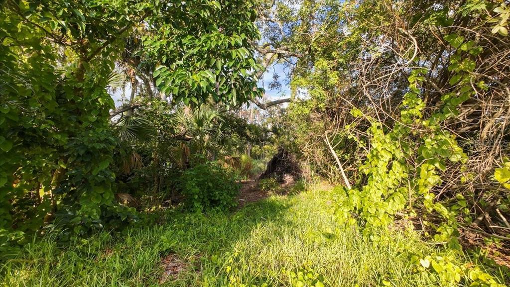 Bayshore Road Nokomis, FL 34275 - Photo 25 of 42 a view of a yard