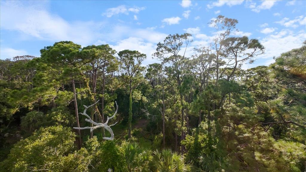 Bayshore Road Nokomis, FL 34275 - Photo 27 of 42 a view of a tree in a yard