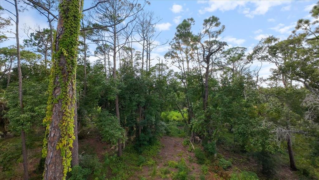 Bayshore Road Nokomis, FL 34275 - Photo 29 of 42 a view of a lot of trees and bushes