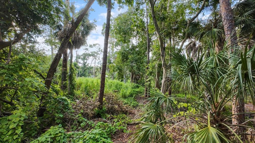 Bayshore Road Nokomis, FL 34275 - Photo 31 of 42 a view of a garden