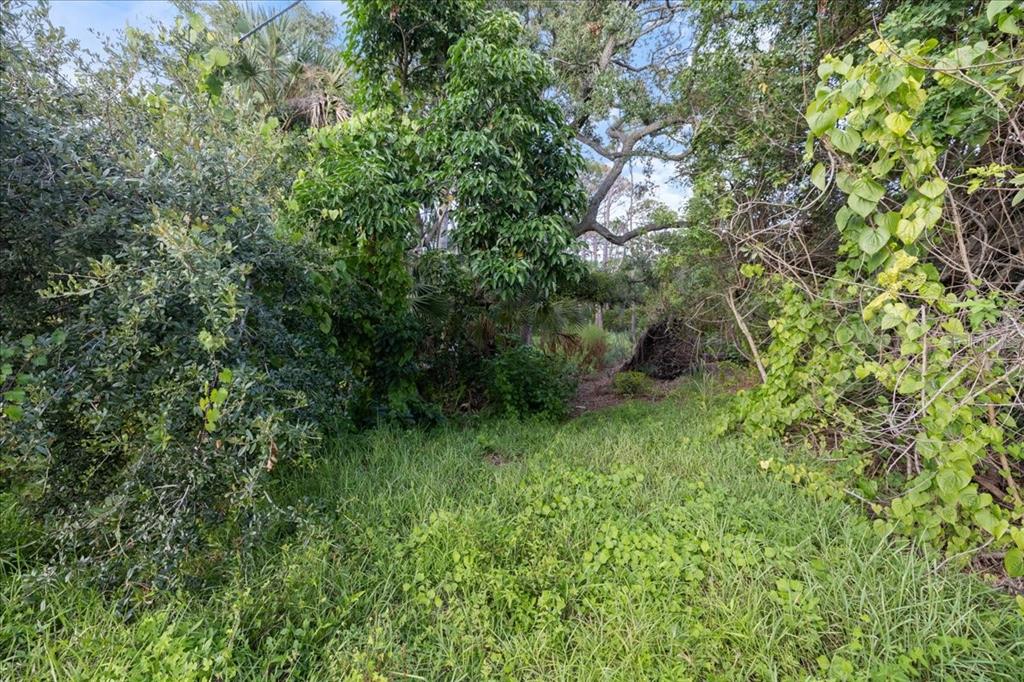 Bayshore Road Nokomis, FL 34275 - Photo 34 of 42 a view of a lush green forest