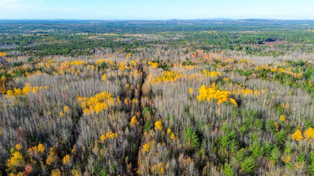 $80,000 | 0 Northfield Road, Wesley, ME 04686