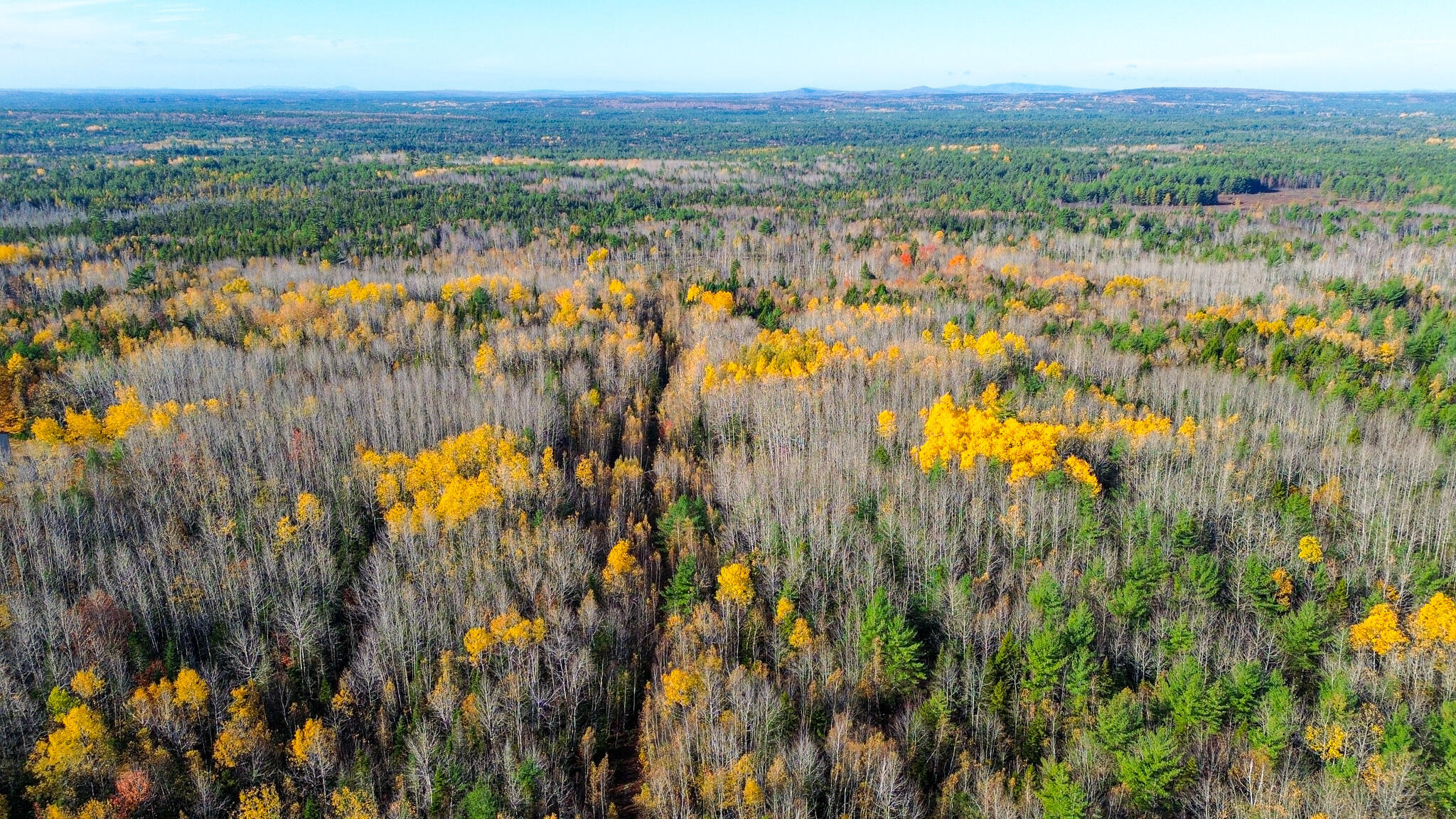 0 Northfield Road Wesley, ME 04686 - Photo 11 of 11 DJI_0861
