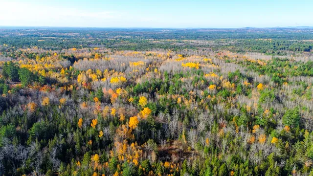 $80,000 | 0 Northfield Road, Wesley, ME 04686