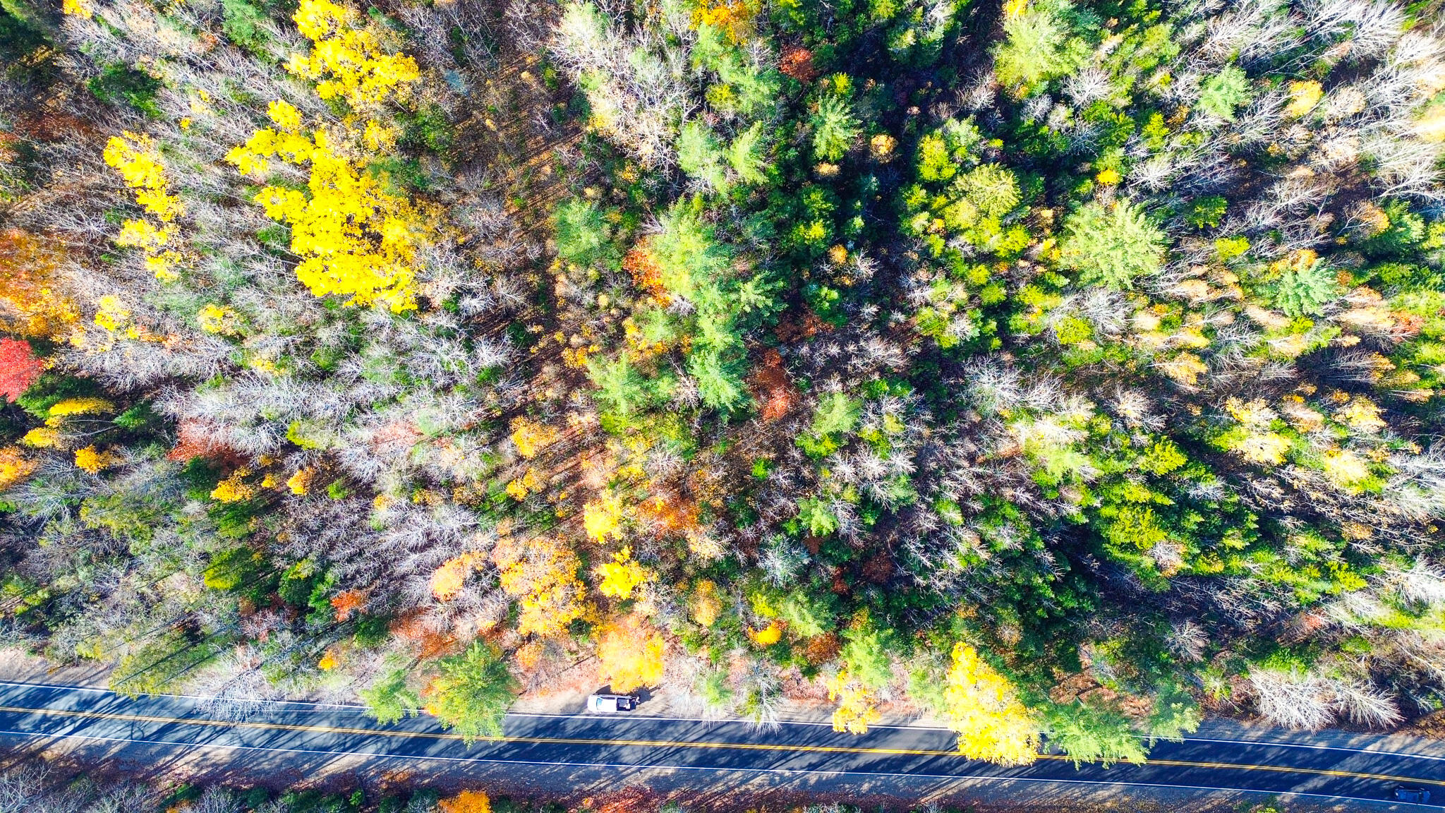 0 Northfield Road Wesley, ME 04686 - Photo 9 of 11 DJI_0859