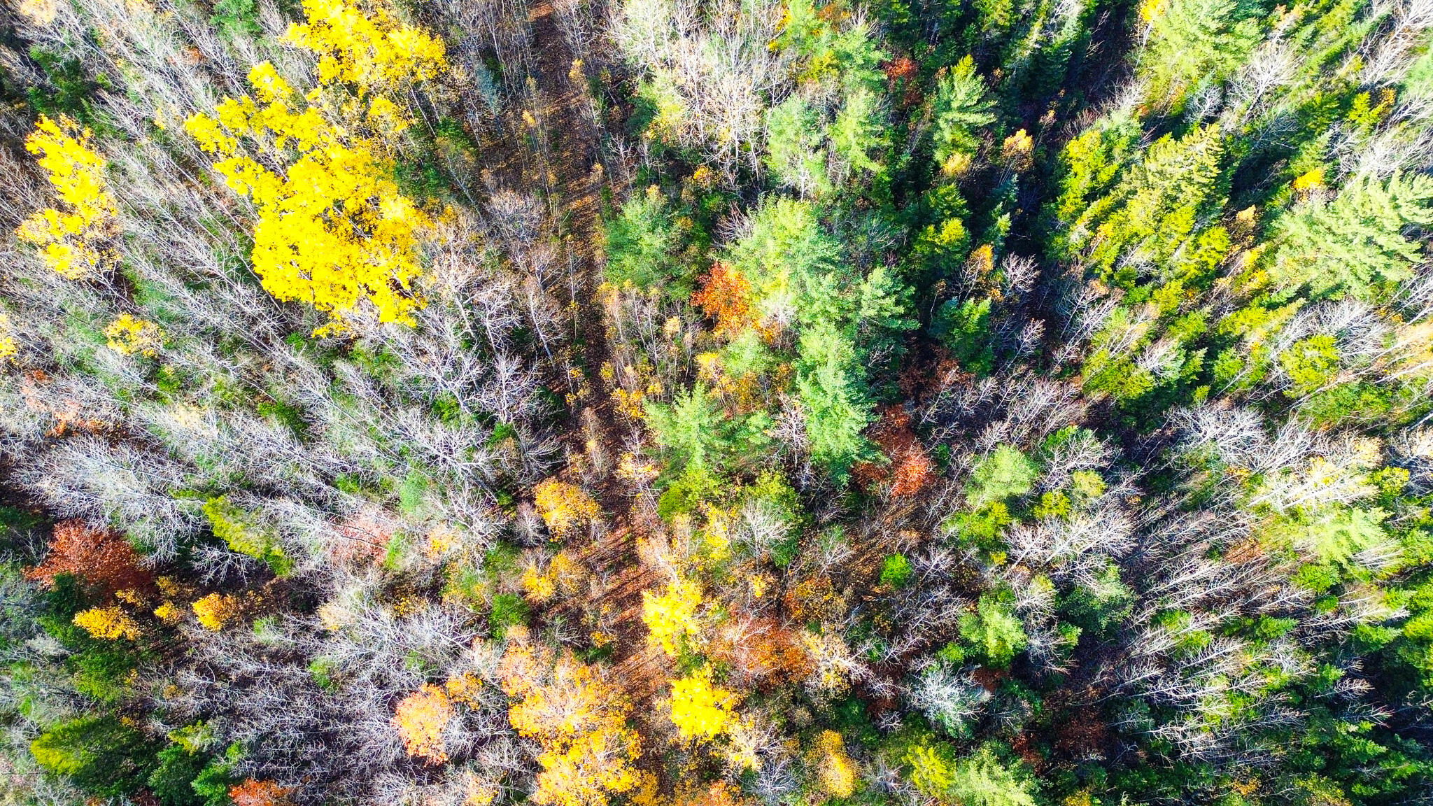 0 Northfield Road Wesley, ME 04686 - Photo 10 of 11 DJI_0860