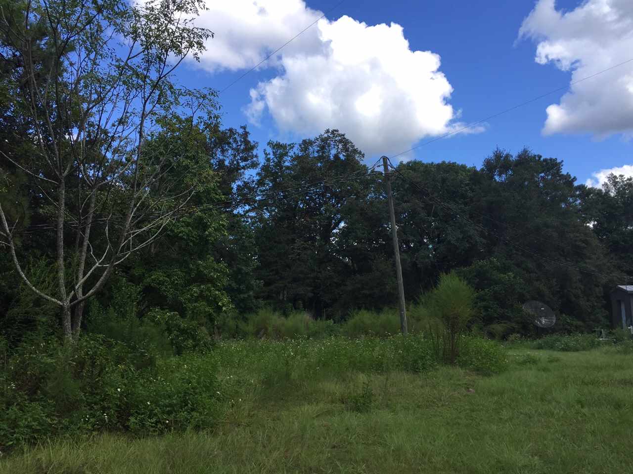Xxx Ridgeland Road Tallahassee, FL 32312 - Photo 8 of 8 Gallery Image 8