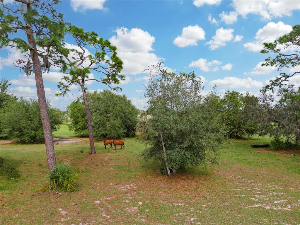 60 East State Rd Lake Lake Wales, FL 33898 - Photo 13 of 29