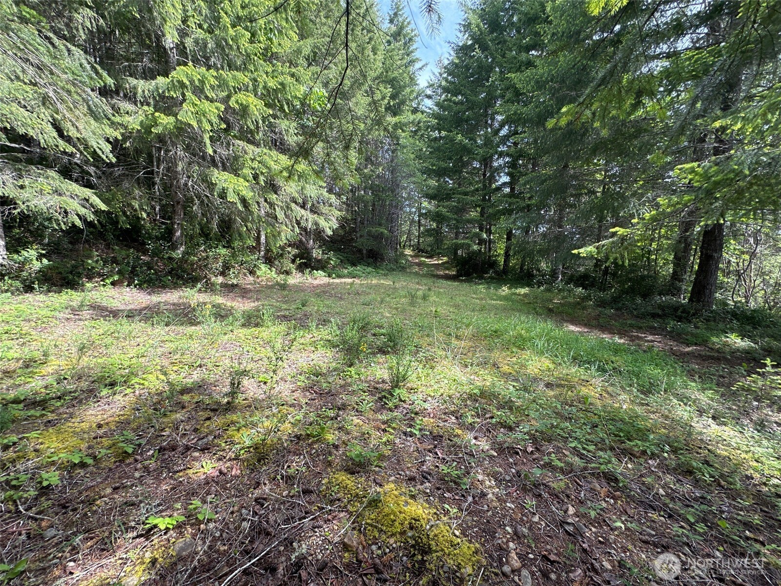 150 North Sunnyside Road Shelton, WA 98584 - Photo 10 of 22