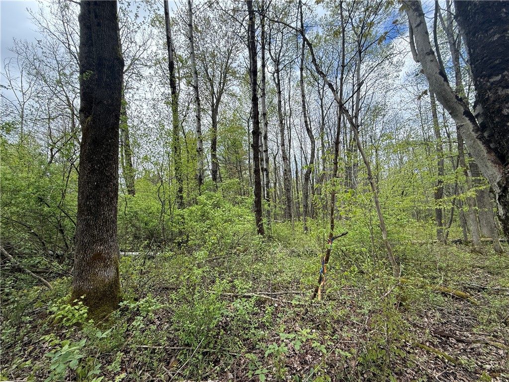 Caswell Road Freeville, NY 13068 - Photo 19 of 47